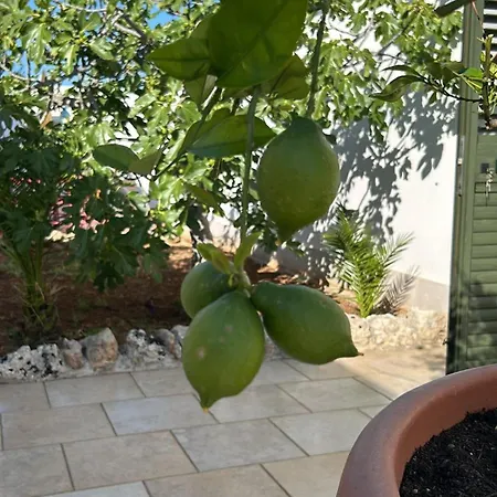 Lamandia Lägenhetshotell 3*